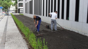 Zagospodarowanie terenów zielonych